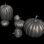 pumpkin family
