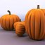 pumpkin family