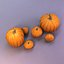 pumpkin family