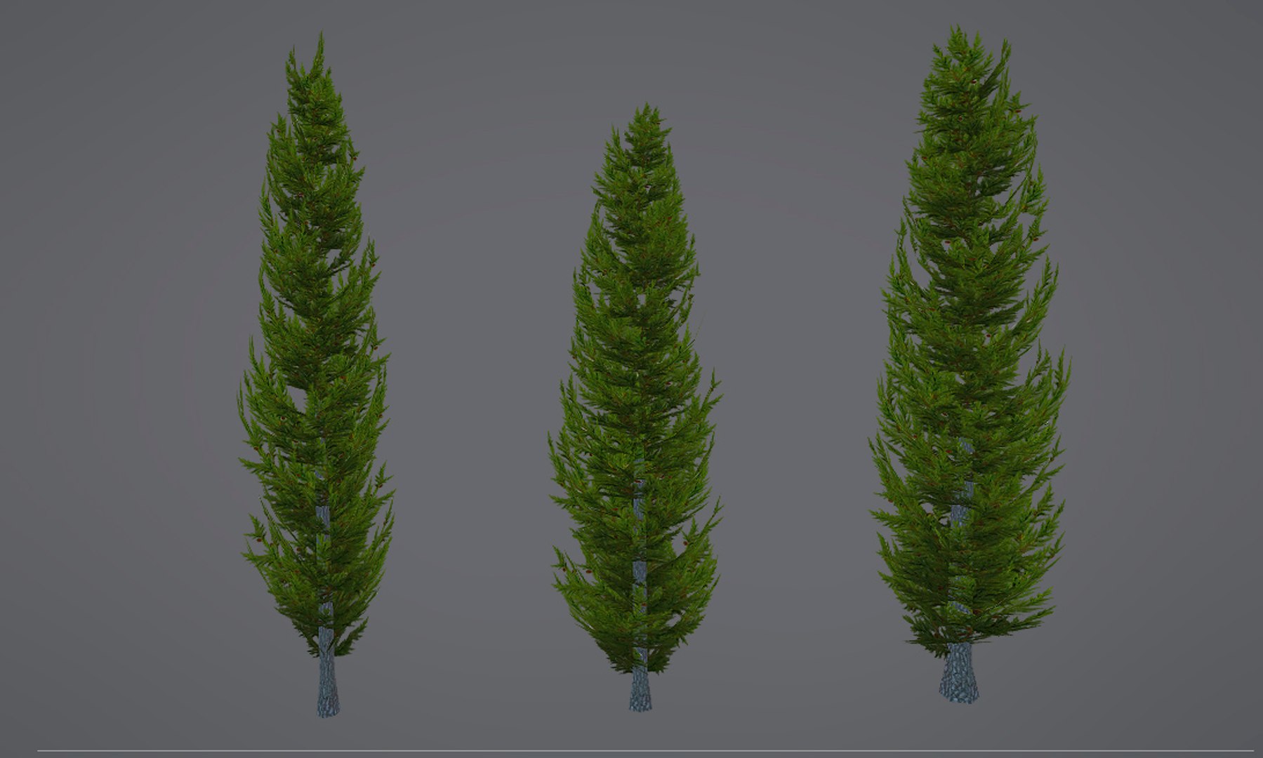 assets set 3D model https://p.turbosquid.com/ts-thumb/tt/nL3u8z/WcIcSwpW/cypress_v1/jpg/1559837202/1920x1080/fit_q87/4b27658d62b2e87e81108b12b189d6a727d1db68/cypress_v1.jpg