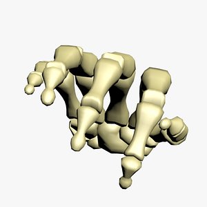 Realistic Rigged Skeleton Hand 3D model
