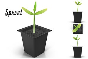 Sprout # 3