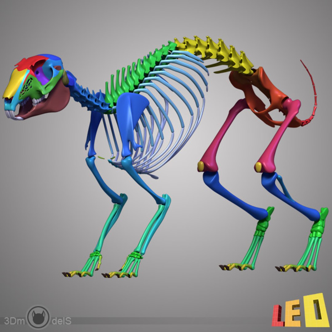 rabbit skeleton bones 3ds