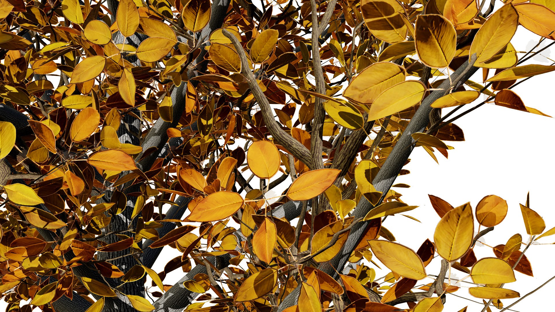 High-Detail Pear Tree Model 3D model https://p.turbosquid.com/ts-thumb/tu/R95lp8/B8/fullpeartree1l/jpg/1736284921/1920x1080/fit_q87/9e05d3be375bcd28e70b9b8f5553bd44a6cc74b7/fullpeartree1l.jpg