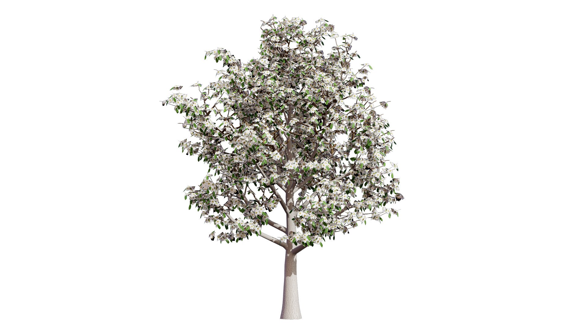 High-Detail Pear Tree Model 3D model https://p.turbosquid.com/ts-thumb/tu/R95lp8/f5/floweringpeartreel/jpg/1736284903/1920x1080/fit_q87/f2538a9983909575929768a5702a8cb45a1fa65f/floweringpeartreel.jpg