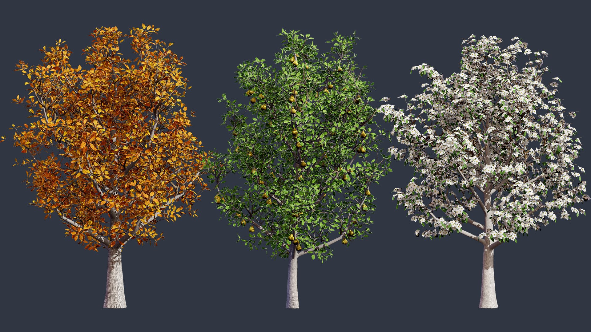 High-Detail Pear Tree Model 3D model https://p.turbosquid.com/ts-thumb/tu/R95lp8/rH/00artcover01/jpg/1736284891/1920x1080/fit_q87/55430306ff4e5cb094c95d5216f97aab2e8f6827/00artcover01.jpg