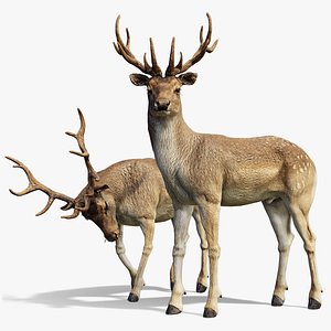 3D Deer Game Ready model