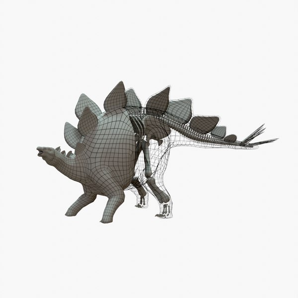 Stegosaurus Rigged Basemesh Skeleton Modelo 3D - TurboSquid 2070229
