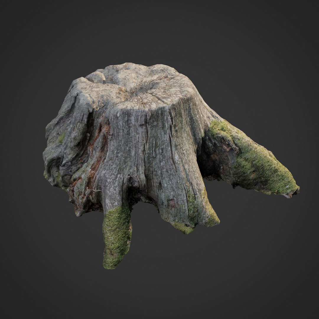 Scanned Nature Tree Stump 3D Model - TurboSquid 1191498