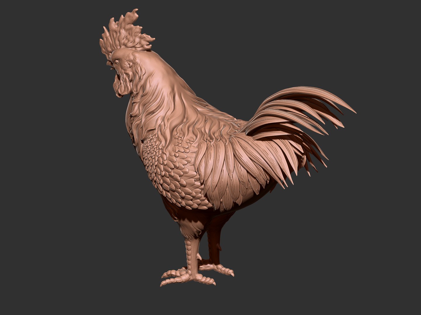 3D Rooster - TurboSquid 2049435
