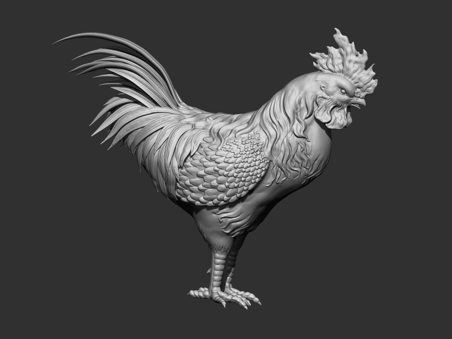 3D Rooster - TurboSquid 2049435