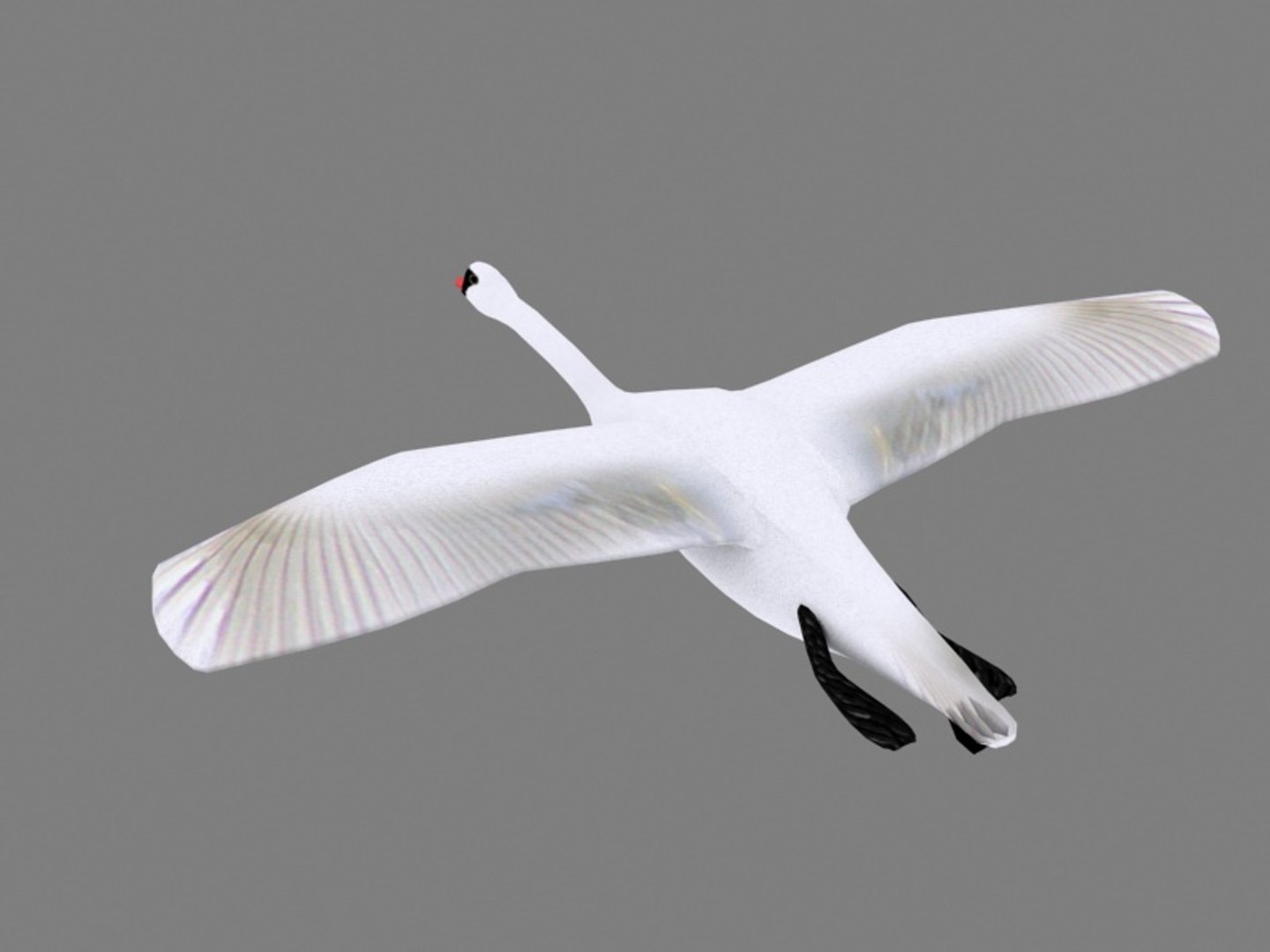 flying swan max https://p.turbosquid.com/ts-thumb/tu/kai6lJ/3ZCmBSOo/s2/jpg/1364365522/1920x1080/fit_q87/8ea0da915d09f022ee1640debb4996a31cdf65db/s2.jpg