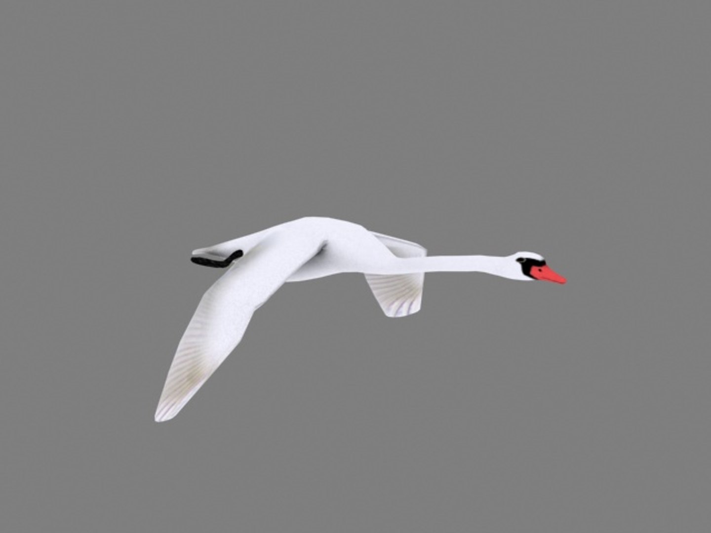 flying swan max https://p.turbosquid.com/ts-thumb/tu/kai6lJ/7vGoJdeL/swan2/jpg/1245647294/1920x1080/fit_q87/a11380a89d63c3b313f61c4e100a145bde811b5c/swan2.jpg