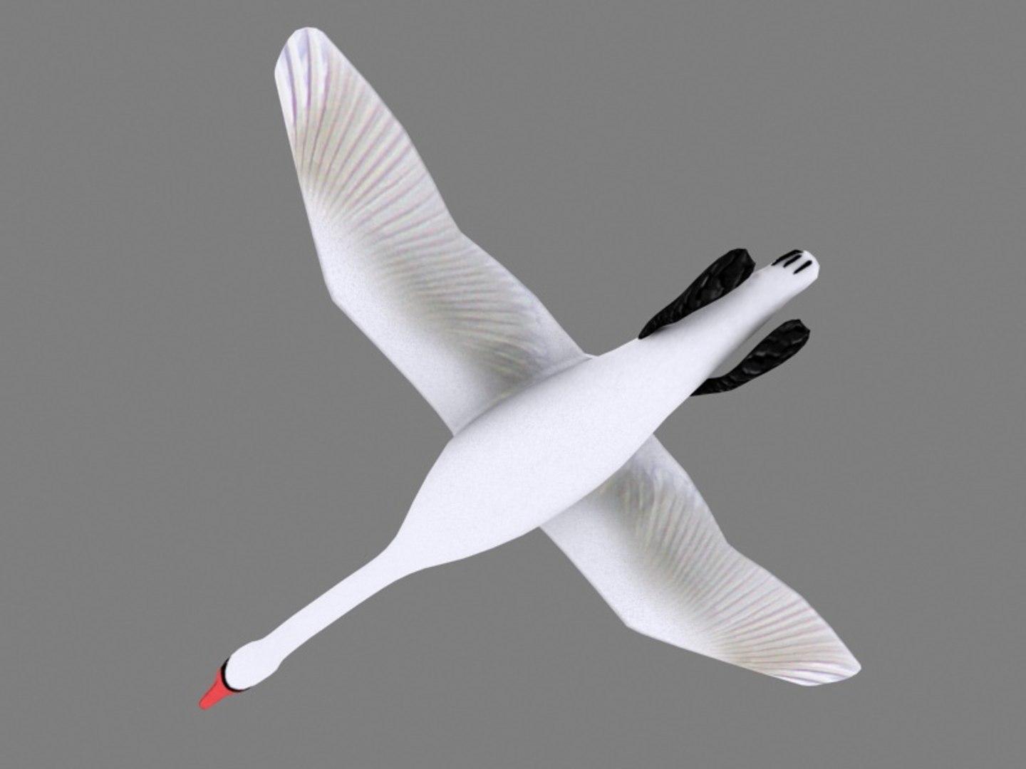 flying swan max https://p.turbosquid.com/ts-thumb/tu/kai6lJ/9r8YJ518/s3/jpg/1364365522/1920x1080/fit_q87/2124bbd31f5b840adb1ee24bc9ed5b1567ba6694/s3.jpg
