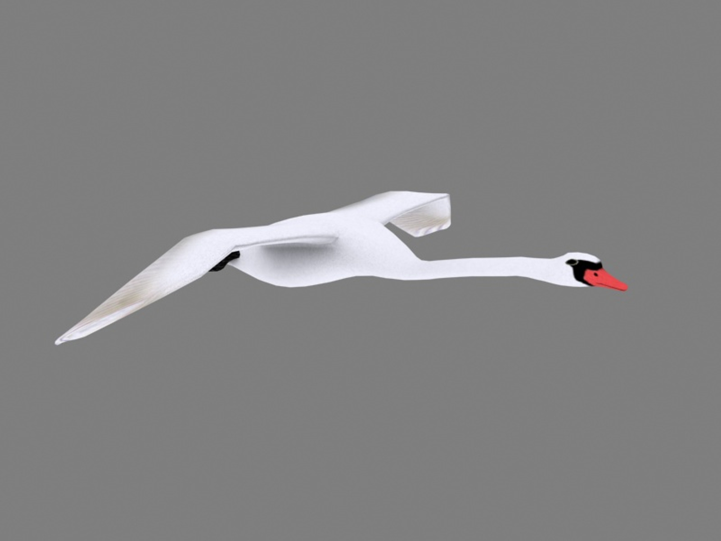 flying swan max https://p.turbosquid.com/ts-thumb/tu/kai6lJ/G2Ld2de7/swan_turn/jpg/1364365568/1920x1080/turn_fit_q99/6a27ec54c63a82e14b01b624d962e575b8997224/swan_turn-1.jpg