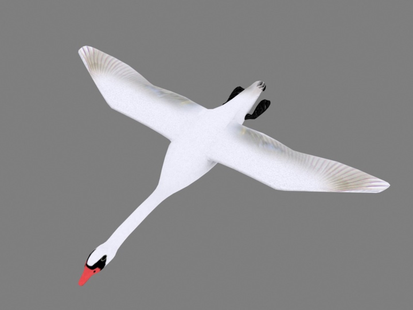 flying swan max https://p.turbosquid.com/ts-thumb/tu/kai6lJ/SQjr9xYD/s1/jpg/1364365521/1920x1080/fit_q87/2d69211157f2b31553908491e0d689123ae41de5/s1.jpg