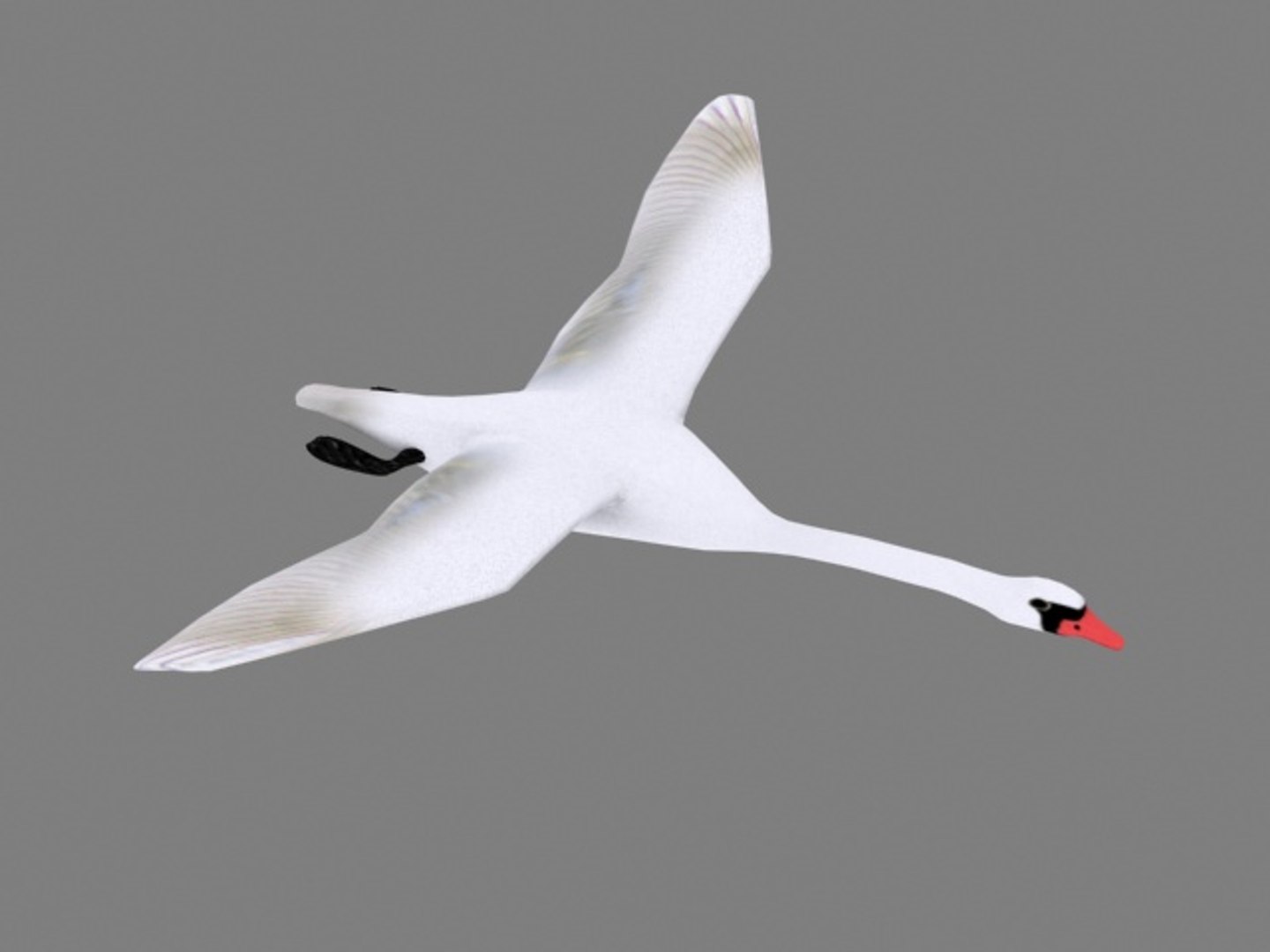 flying swan max https://p.turbosquid.com/ts-thumb/tu/kai6lJ/eKsE3Q1q/swan3/jpg/1245647310/1920x1080/fit_q87/93e9bb76750c3a2349735ffc4504b45f864daf13/swan3.jpg