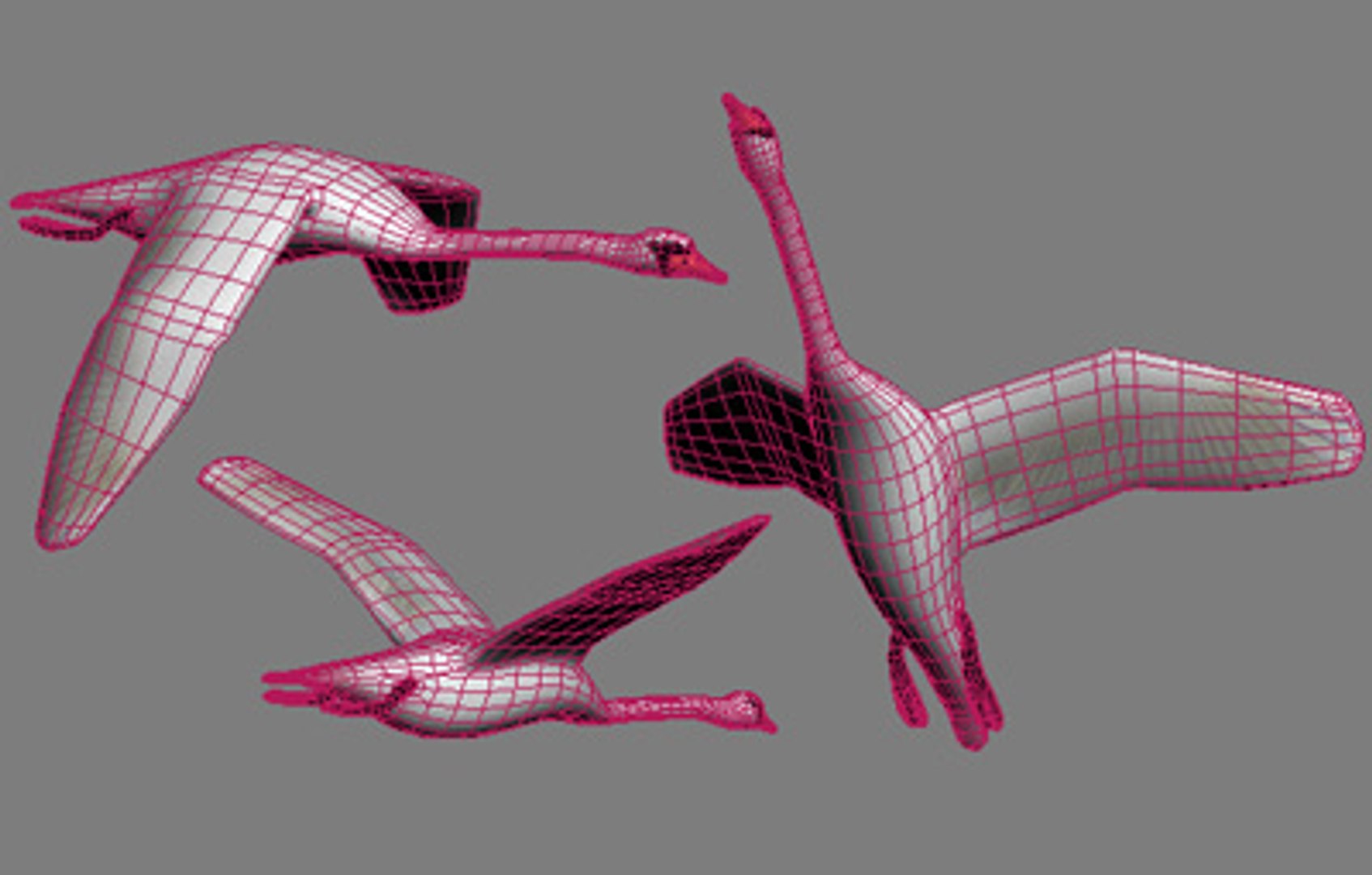 flying swan max https://p.turbosquid.com/ts-thumb/tu/kai6lJ/lmxXY8Ph/swan_wire/jpg/1245647325/1920x1080/fit_q87/f49545c5efb583804c21d50602f8557a7895dbdb/swan_wire.jpg