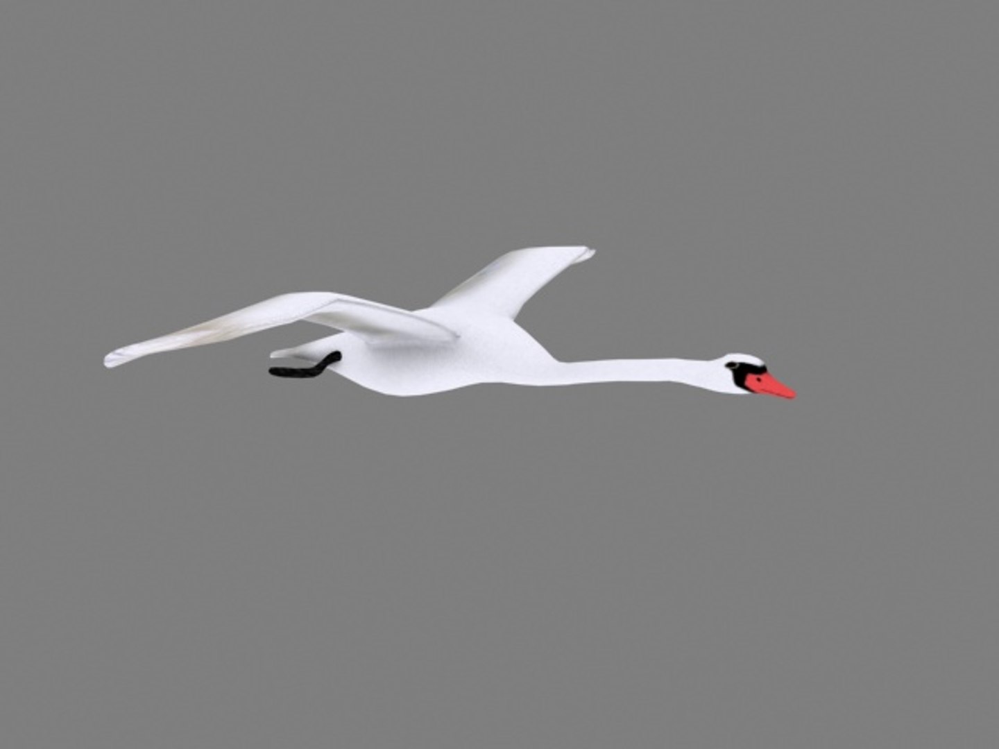 flying swan max https://p.turbosquid.com/ts-thumb/tu/kai6lJ/nzXCZEcq/swan1/jpg/1245647285/1920x1080/fit_q87/16ae0de8d6d72d812a2b890f5ce1a121925975a2/swan1.jpg