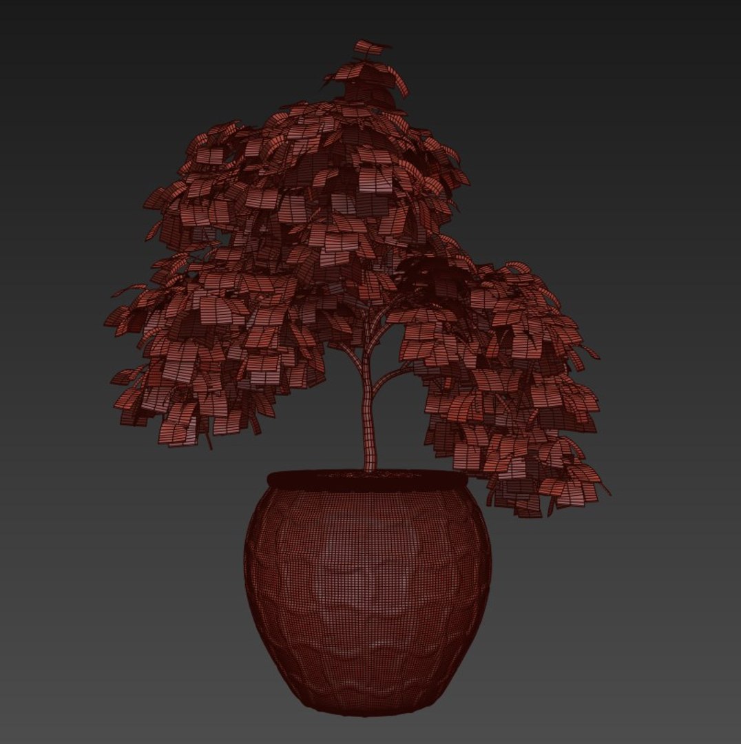 3D maple tree model https://p.turbosquid.com/ts-thumb/tu/kpyIwv/Yng2M0wV/05/jpg/1508538000/1920x1080/fit_q87/f92cad895830ea71d18e565289a8e73659411926/05.jpg