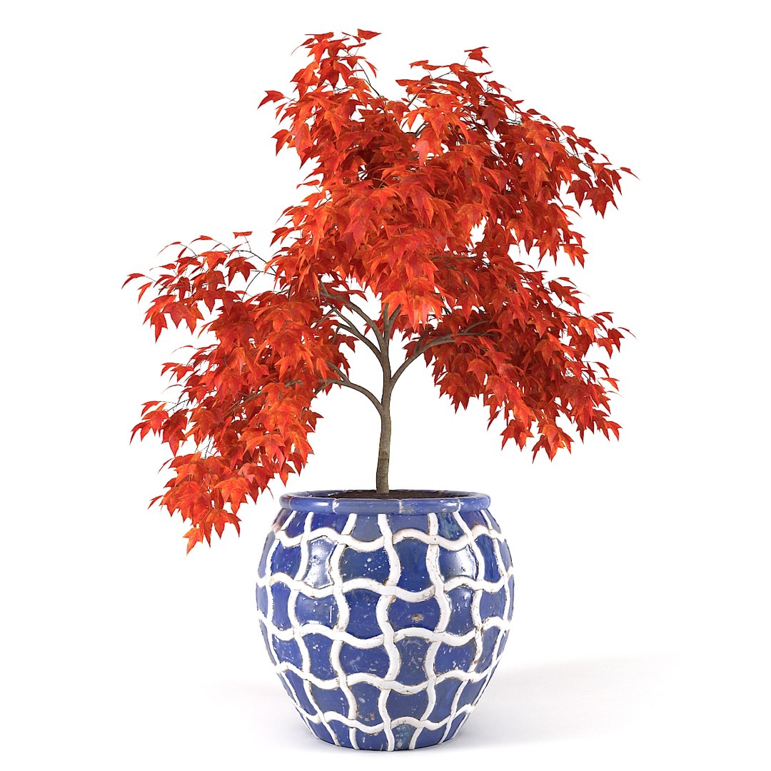3D maple tree model https://p.turbosquid.com/ts-thumb/tu/kpyIwv/hGTdDhlS/01/jpg/1508538000/1920x1080/fit_q87/28ea434845d87ec3da0f1be1313692b6c240fe93/01.jpg