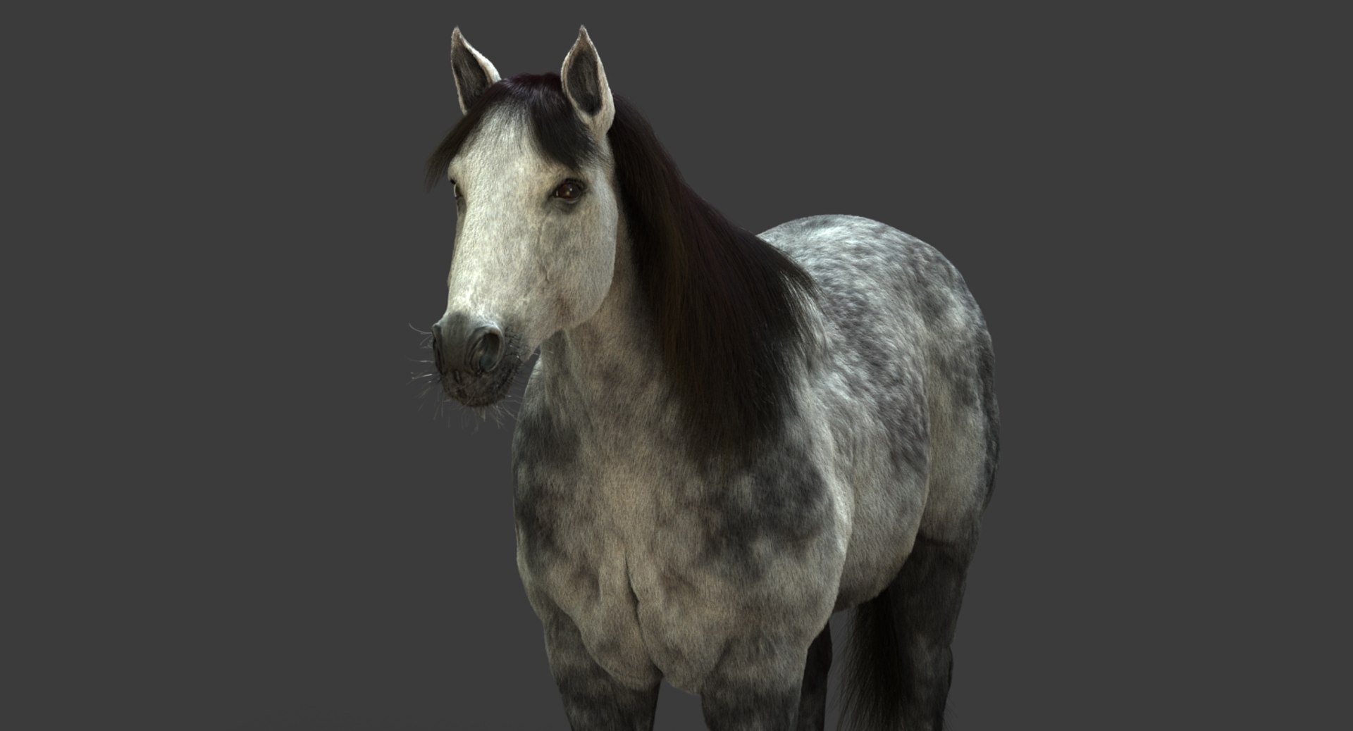 3D model horse animation fur https://p.turbosquid.com/ts-thumb/tu/wexyME/9m0BkwtJ/06/jpg/1510025794/1920x1080/fit_q87/e67f7da93f5aae70f2ed60becf6e43910e20aaf9/06.jpg