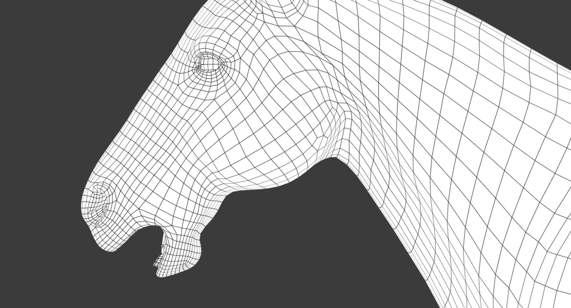 3D model horse animation fur https://p.turbosquid.com/ts-thumb/tu/wexyME/DBNhQEpH/wire05/jpg/1510025801/1920x1080/fit_q87/8c8172b04b1579e1235fd2469f5f4e53ee476661/wire05.jpg