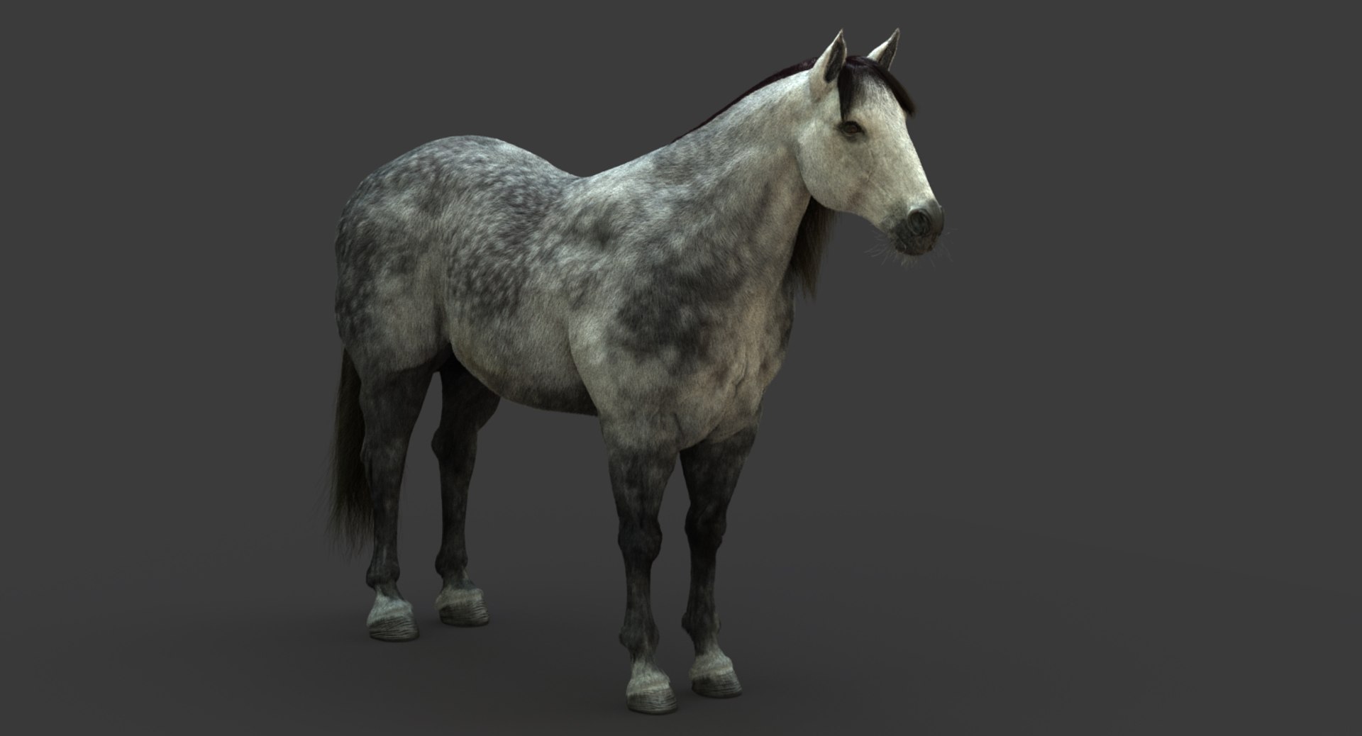 3D model horse animation fur https://p.turbosquid.com/ts-thumb/tu/wexyME/Ecm29RiP/07/jpg/1510025794/1920x1080/fit_q87/4cdd2ec4836cf98ca905a6b85da91083e898fc13/07.jpg
