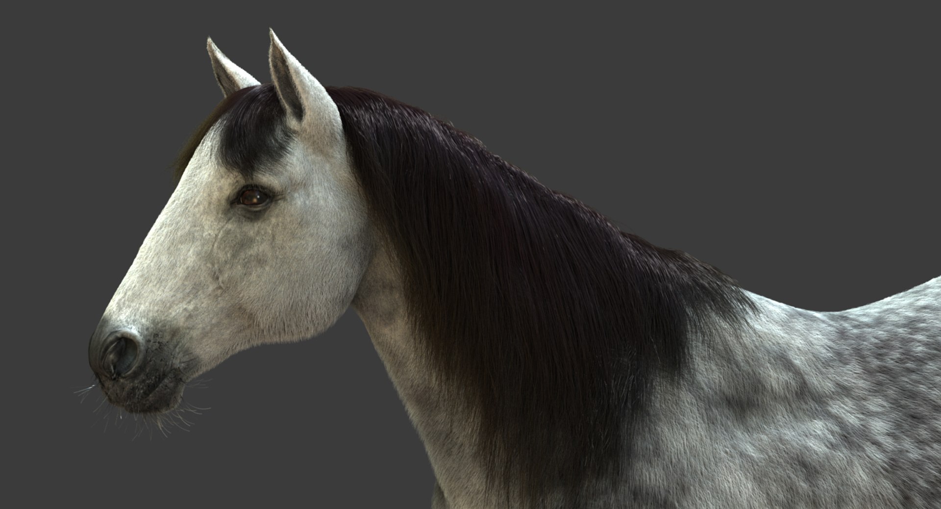 3D model horse animation fur https://p.turbosquid.com/ts-thumb/tu/wexyME/Jd8pdaXq/04/jpg/1510025792/1920x1080/fit_q87/e4bd2fa796c8177a7e49b665d02b13ace6ea327f/04.jpg
