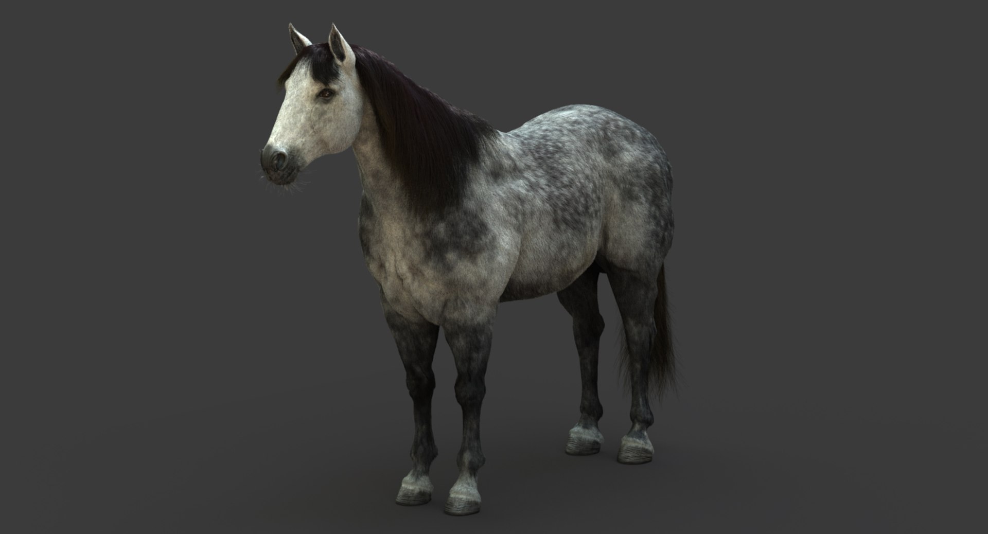 3D model horse animation fur https://p.turbosquid.com/ts-thumb/tu/wexyME/K6RemqGu/08/jpg/1510025794/1920x1080/fit_q87/944ecdca92a9899e75d193a172da61fbd081c5fa/08.jpg