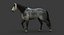 Cavallo (2) (DappleGrey) (ANIMATO) (FUR)