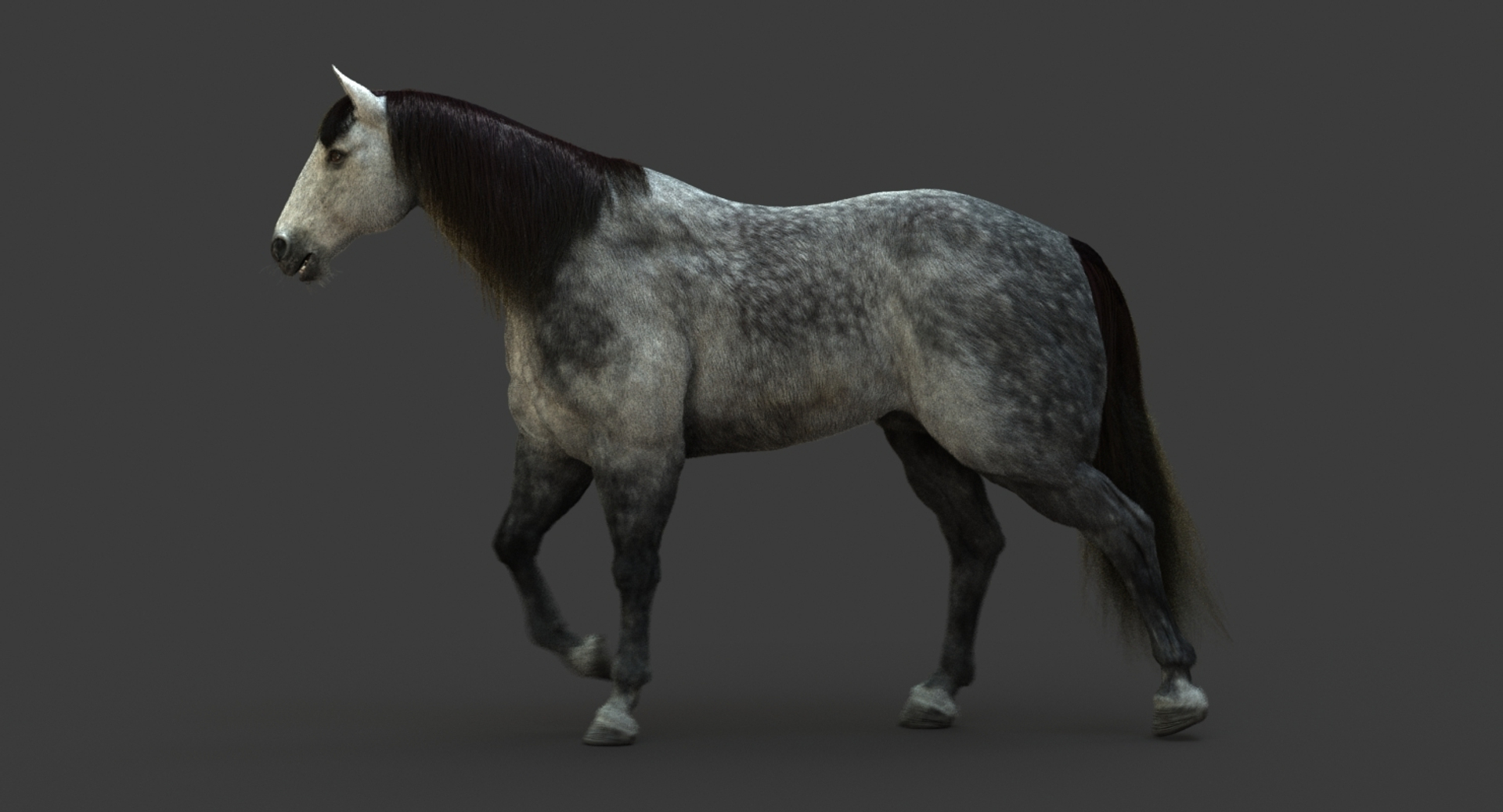 3D model horse animation fur https://p.turbosquid.com/ts-thumb/tu/wexyME/M6uXjj4u/walk/jpg/1510100349/1920x1080/turn_fit_q99/9d04fb664b2ea02319e811cb994baa51b1482e04/walk-1.jpg