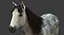 Cavallo (2) (DappleGrey) (ANIMATO) (FUR)
