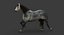 Cavallo (2) (DappleGrey) (ANIMATO) (FUR)