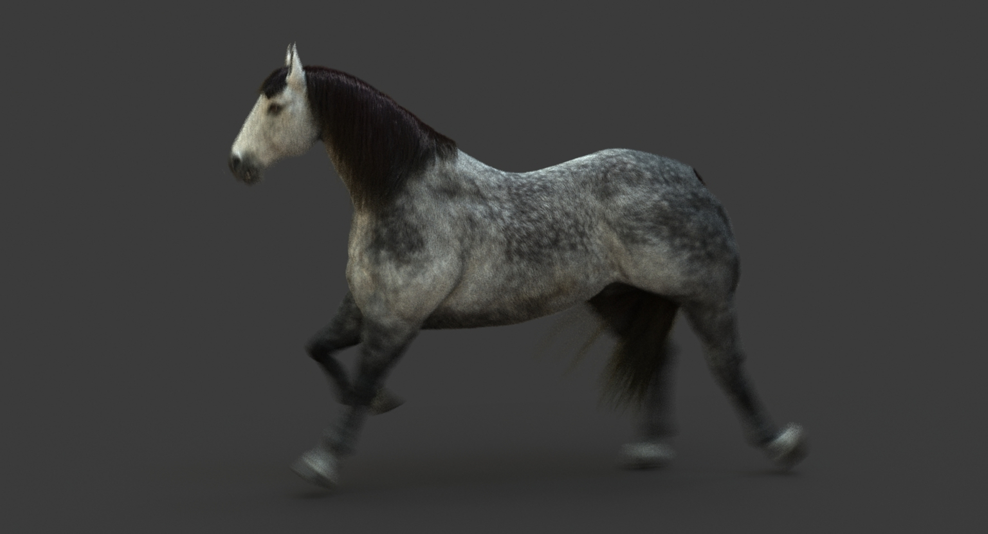 3D model horse animation fur https://p.turbosquid.com/ts-thumb/tu/wexyME/ToD1TScu/run/jpg/1510111828/1920x1080/turn_fit_q99/4d77f5c8eea778aa1767def25a836f09b119cfa1/run-1.jpg