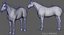 Cavallo (2) (DappleGrey) (ANIMATO) (FUR)