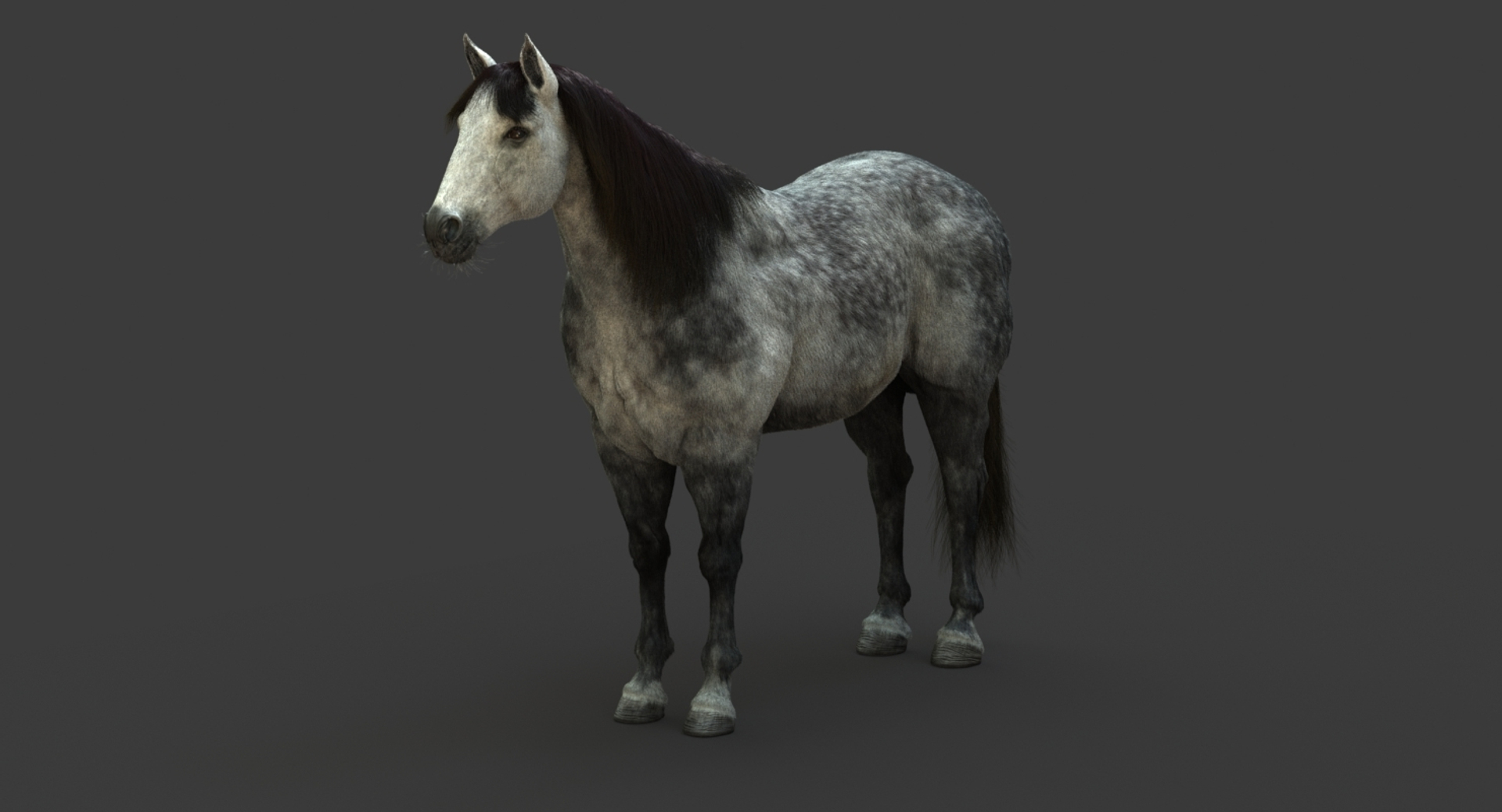 3D model horse animation fur https://p.turbosquid.com/ts-thumb/tu/wexyME/iqiL0D5f/turn/jpg/1510025815/1920x1080/turn_fit_q99/51fbf44d40142feb5cc5b1662f98ca1e17d5d0ab/turn-1.jpg