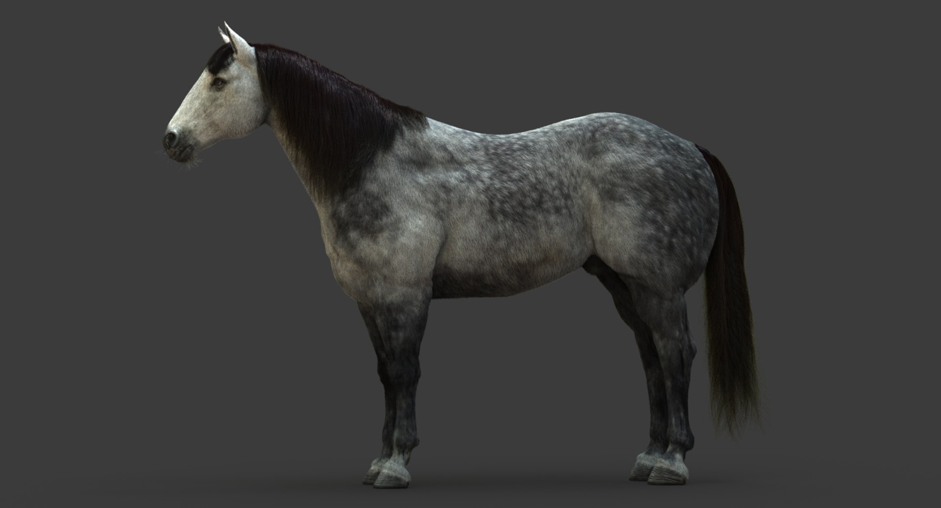 3D model horse animation fur https://p.turbosquid.com/ts-thumb/tu/wexyME/oxDTOG8d/01/jpg/1510025788/1920x1080/fit_q87/42958ff09a6b4ee0d2001fa470ac0a878578e36c/01.jpg