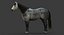 Cavallo (2) (DappleGrey) (ANIMATO) (FUR)