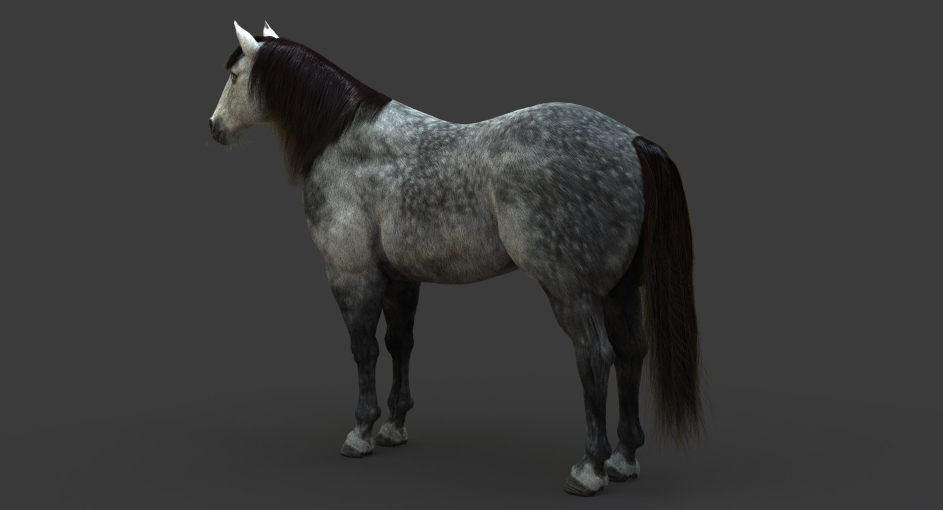 3D model horse animation fur https://p.turbosquid.com/ts-thumb/tu/wexyME/q6DA5CkJ/09/jpg/1510025795/1920x1080/fit_q87/e703e78f7f25b3d3b497b16b863134e877aacbad/09.jpg
