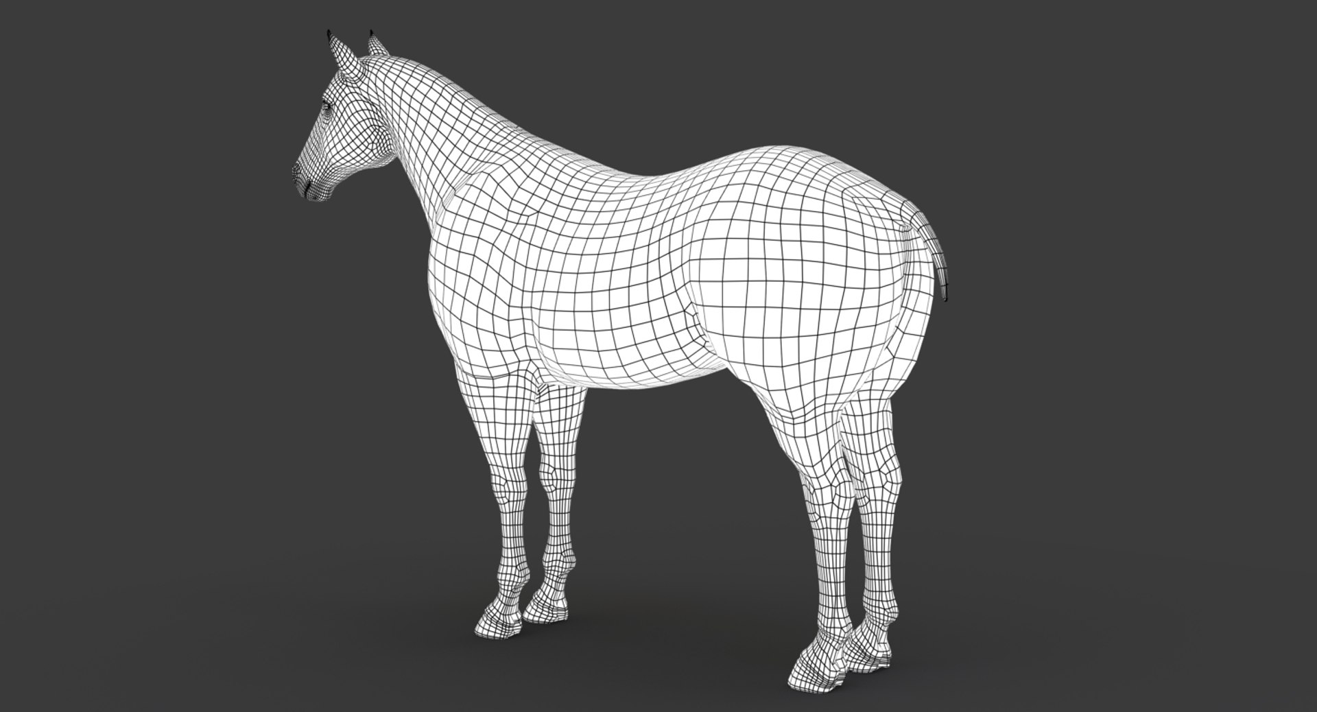 3D model horse animation fur https://p.turbosquid.com/ts-thumb/tu/wexyME/uv1up7ah/wire08/jpg/1510025801/1920x1080/fit_q87/6379496fb4cd0544bc5def61bdcc78a140f268b8/wire08.jpg