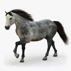 3D model horse animation fur