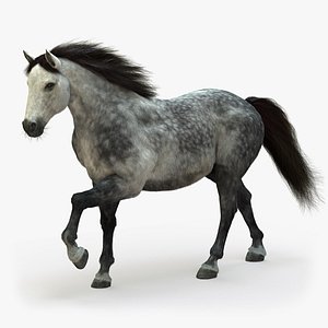 Horse (2) (DappleGrey) (ANIMATED) (FUR)