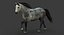 Cavallo (2) (DappleGrey) (ANIMATO) (FUR)