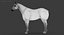 Cavallo (2) (DappleGrey) (ANIMATO) (FUR)