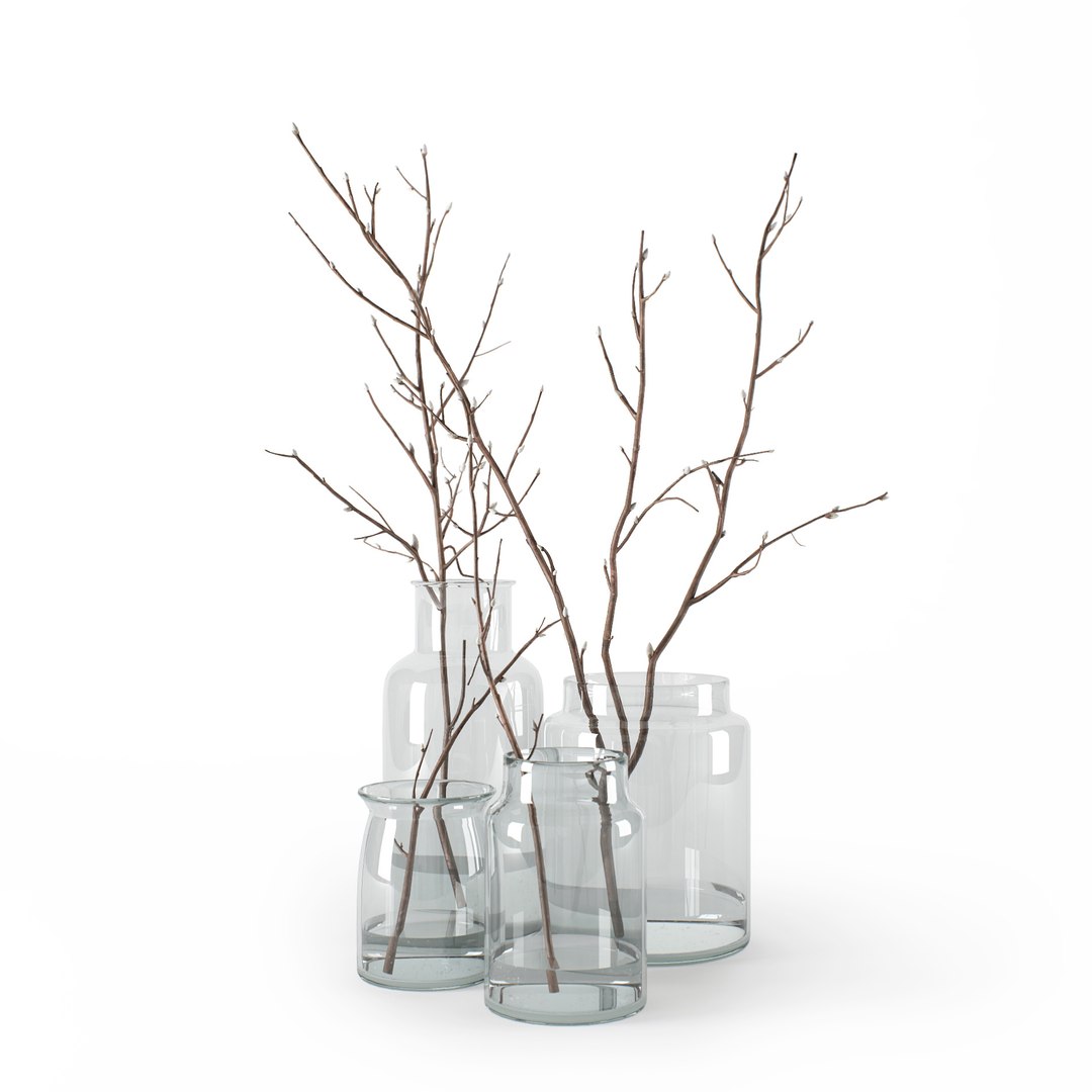 branches glass jars 3D model https://p.turbosquid.com/ts-thumb/tu/yrt4cG/9k8aleRt/c2p/jpg/1502918413/1920x1080/fit_q87/52d8c597a8d64705f55bbce8744b435af346aac4/c2p.jpg