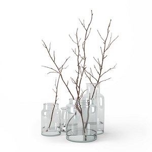 branches glass jars 3D model