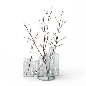 Branches in glass jars
