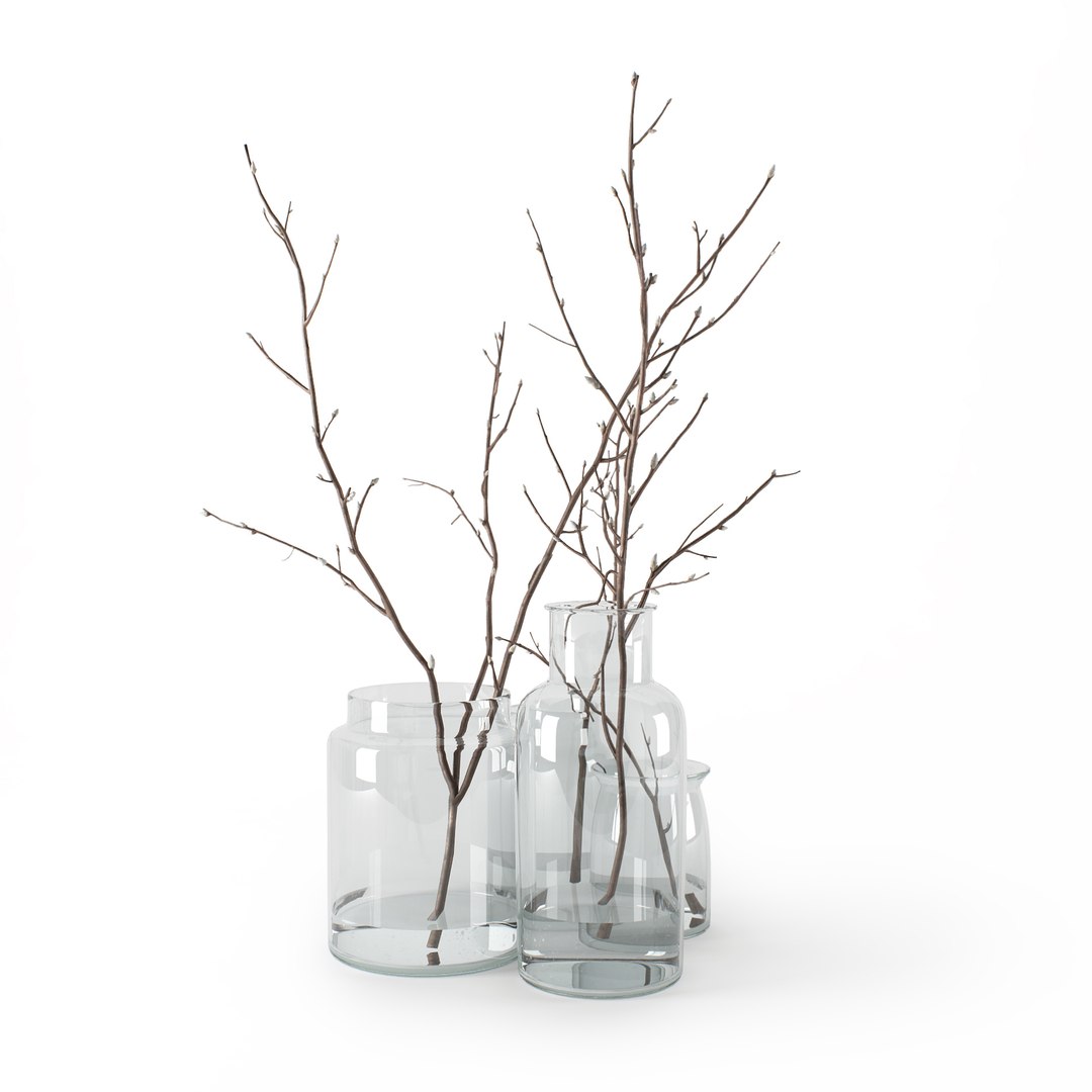 branches glass jars 3D model https://p.turbosquid.com/ts-thumb/tu/yrt4cG/CyqLtHdF/c3p/jpg/1502918413/1920x1080/fit_q87/a866a10e1469675bf0609fb1d75e9b1ff6f20b26/c3p.jpg