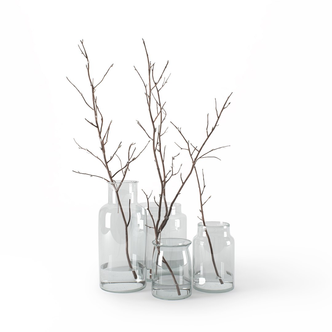 branches glass jars 3D model https://p.turbosquid.com/ts-thumb/tu/yrt4cG/Slw6bWgu/c4p/jpg/1502918413/1920x1080/fit_q87/c8371bbcfed6a71fc6e8990fa0e5aefc67f59059/c4p.jpg